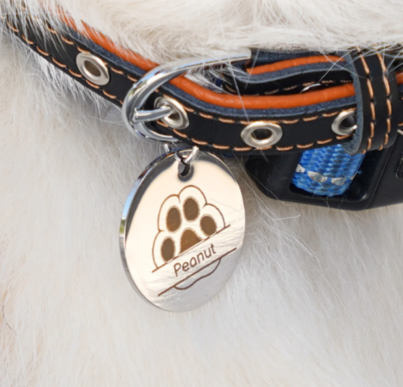 Round Stainless Steel Tag (5pcs) image 1